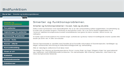 Desktop Screenshot of bidfunktion.com