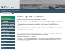 Tablet Screenshot of bidfunktion.com
